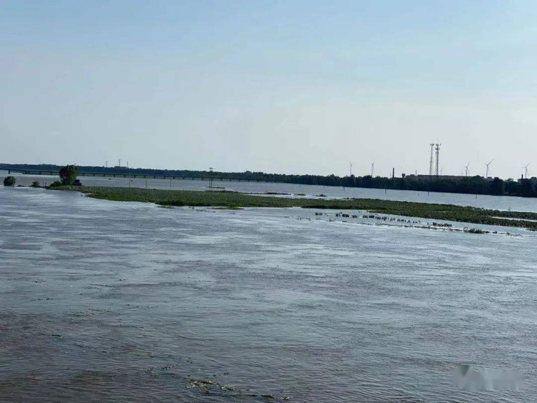 据临清水利局工作人员介绍,根据水文监测信息,7月31日14点30分漳卫河