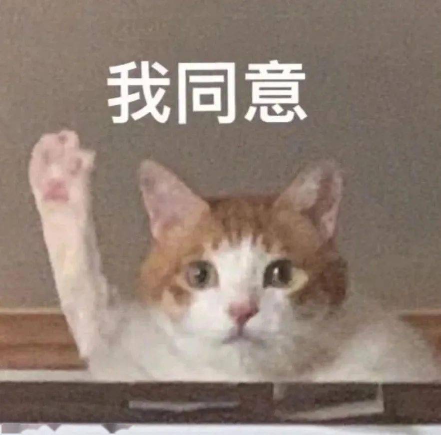 脸部|初恋脸out！2021年流行方脸，高级又大气！