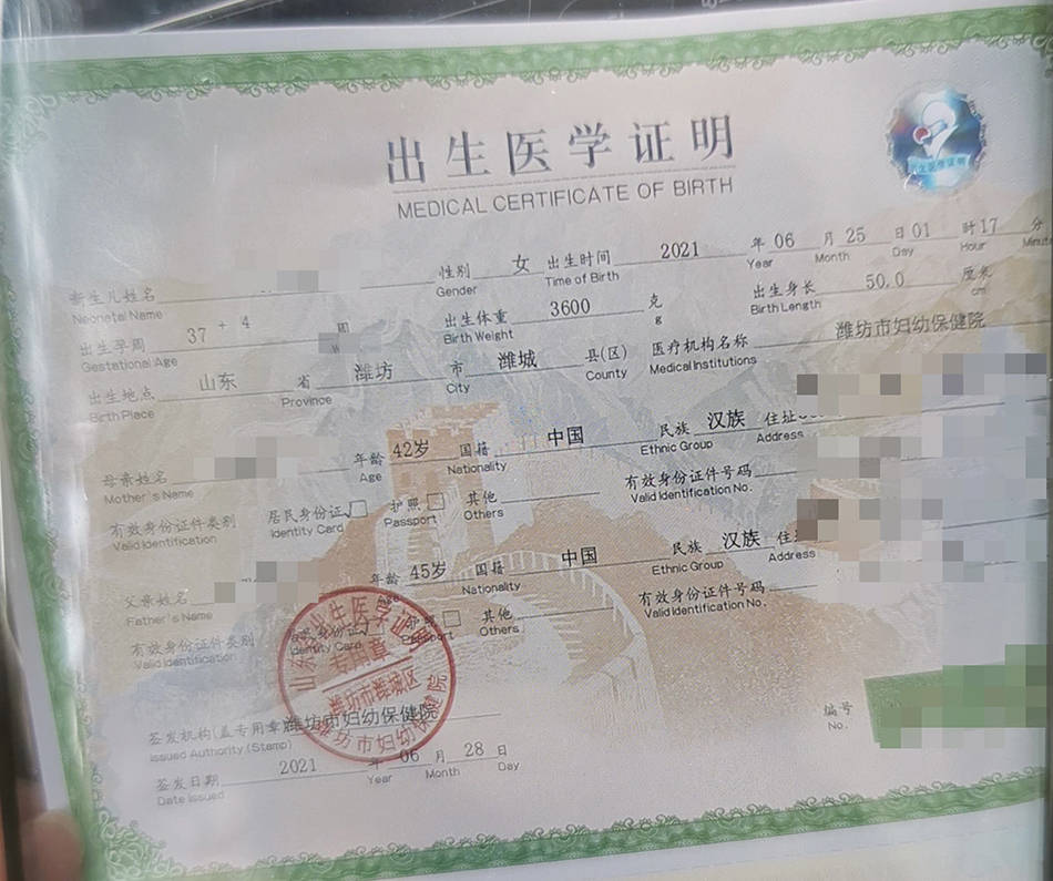 婴儿出生证明图片高清图片