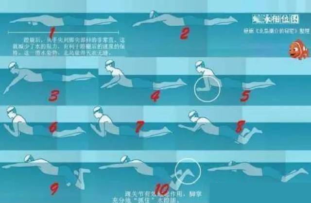 蛙泳换气技巧，你知道了么？