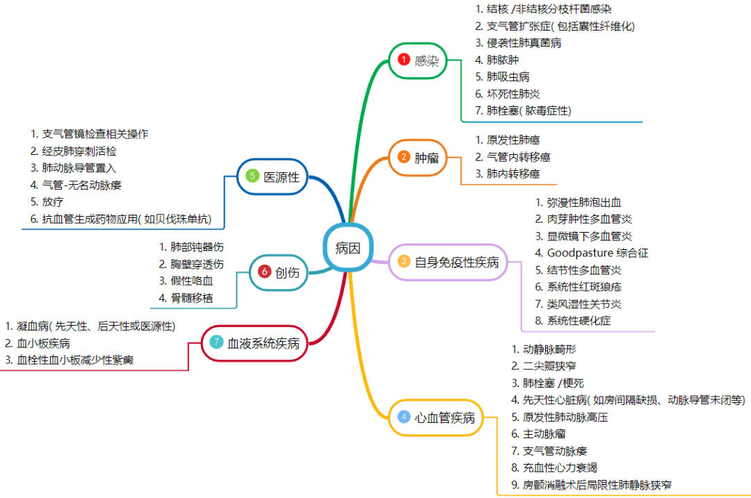 肺部听诊思维导图图片