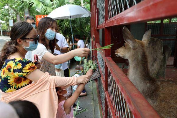 游客|海南三亚：暑期游 疫情防控不放松