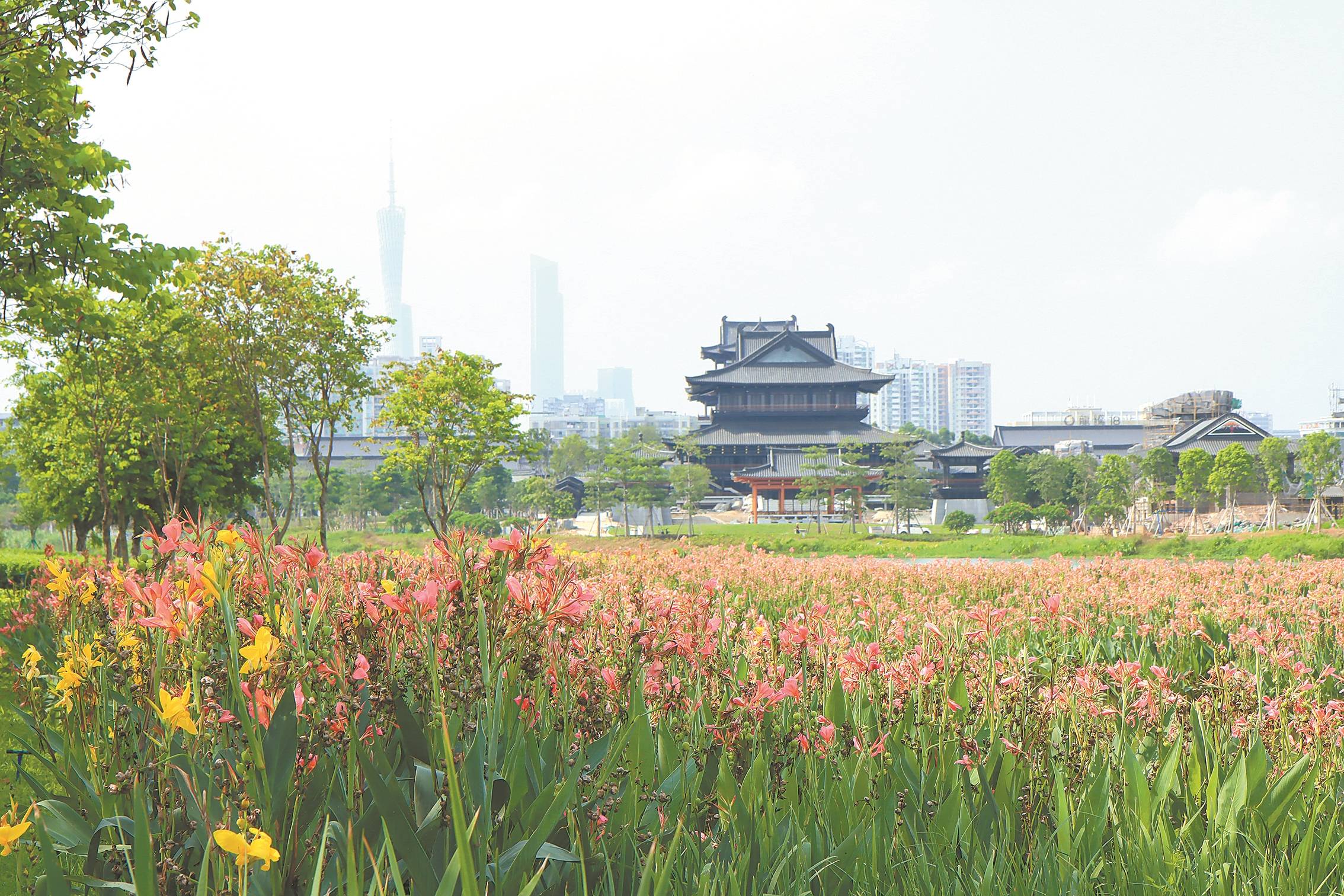 广东|秀水绿树碧道就在家门口 南粤绘就绿色发展新画卷