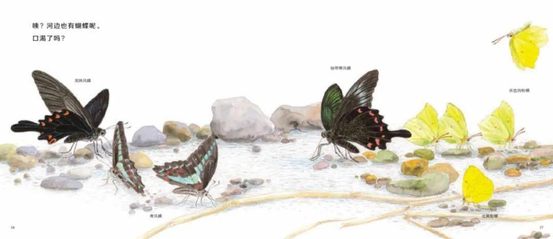 大家一直追问的科学之友 21年新系列全家桶上线 世界