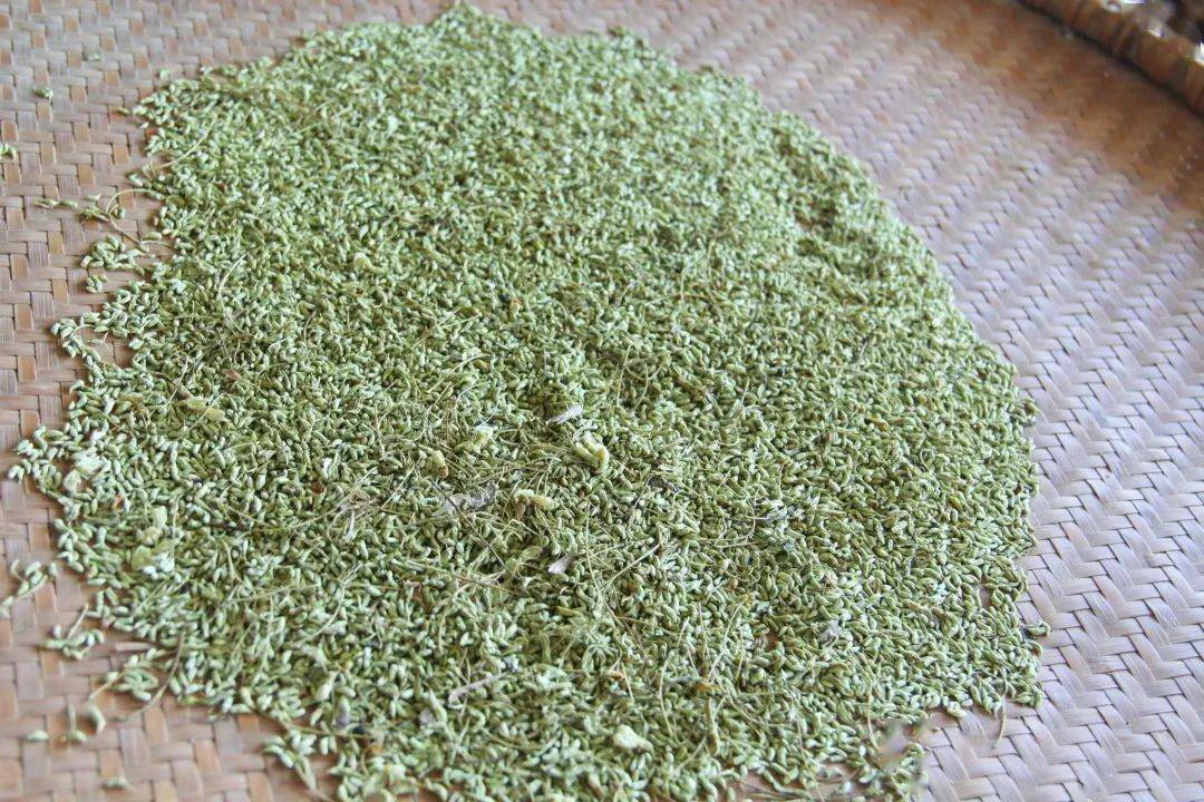 永远跟党走 奋进新时代 | 理学院:"桂北风情特色