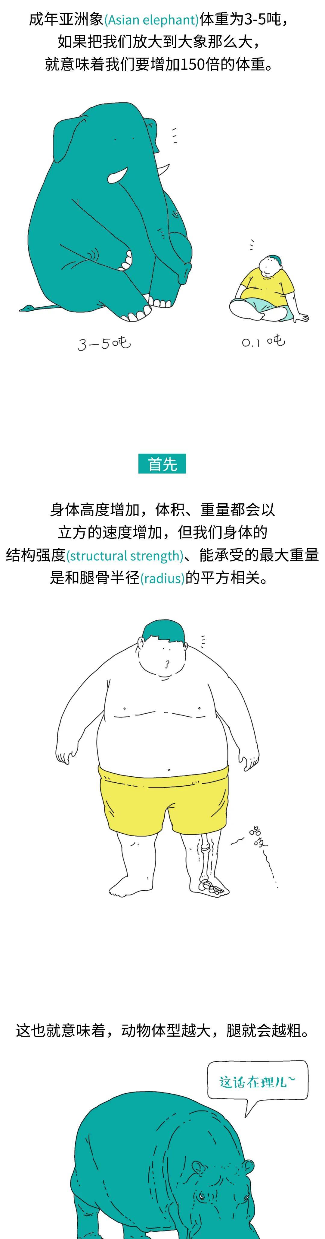 邢昕|哆啦A梦的缩小放大灯原来是个坑？