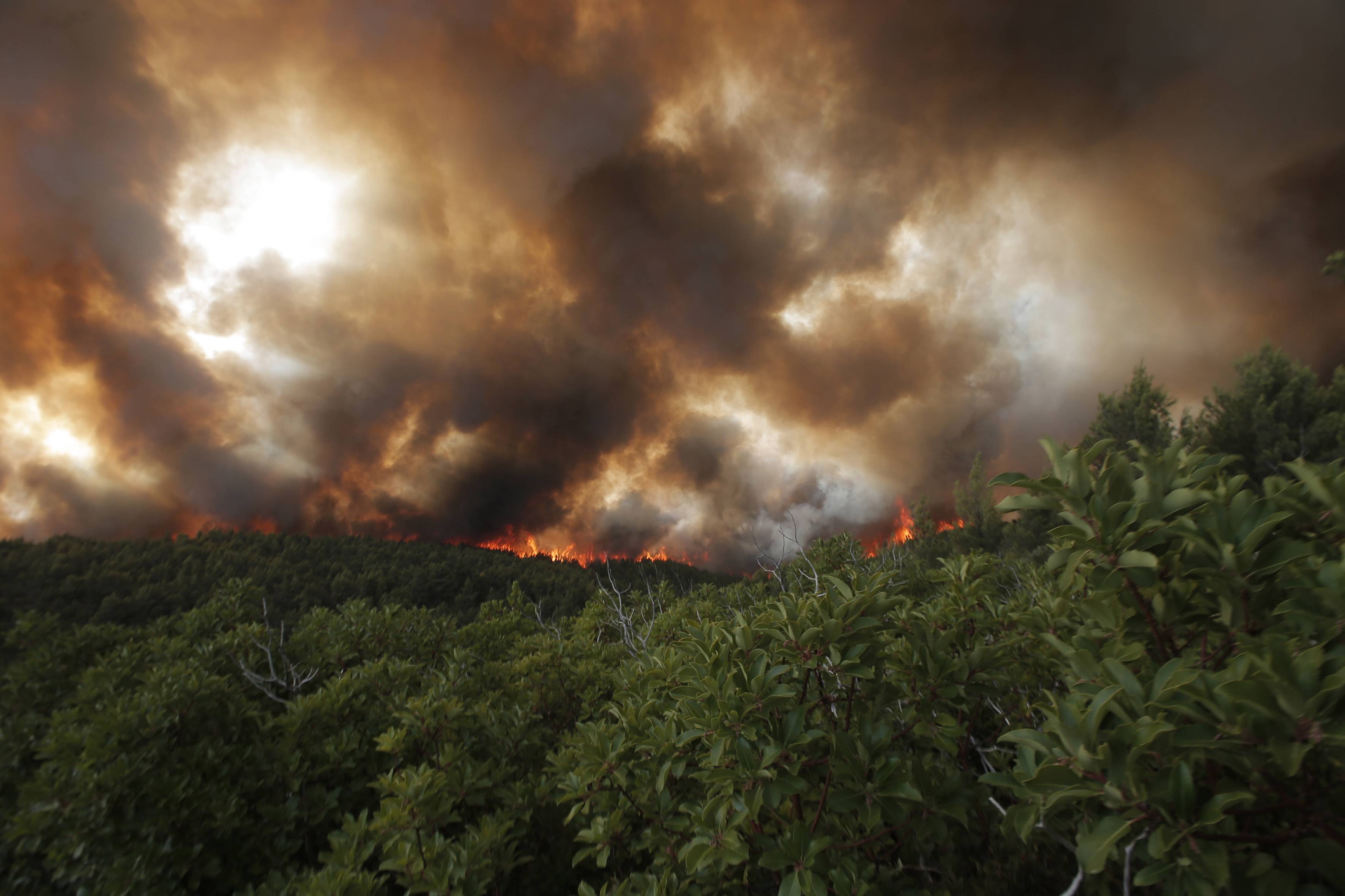 撒丁岛山火持续图片