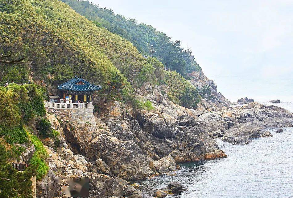 夏天的韩国丨冲浪天堂襄阳