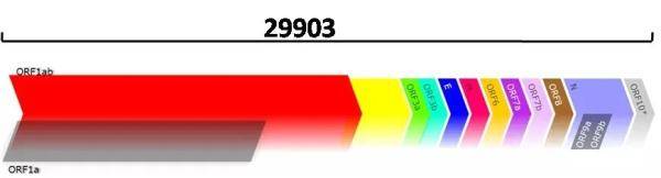 病毒|上海疾控为“德尔塔”查“家谱”，“病毒手链”有多长？