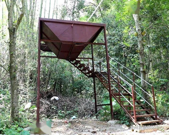 我为群众办实事鸣凤村建好垃圾中转站打造乡村环境整治样板村