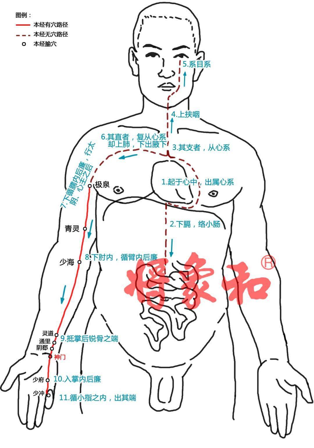 三伏天,輕輕拍打這裡,勝過吃人參!