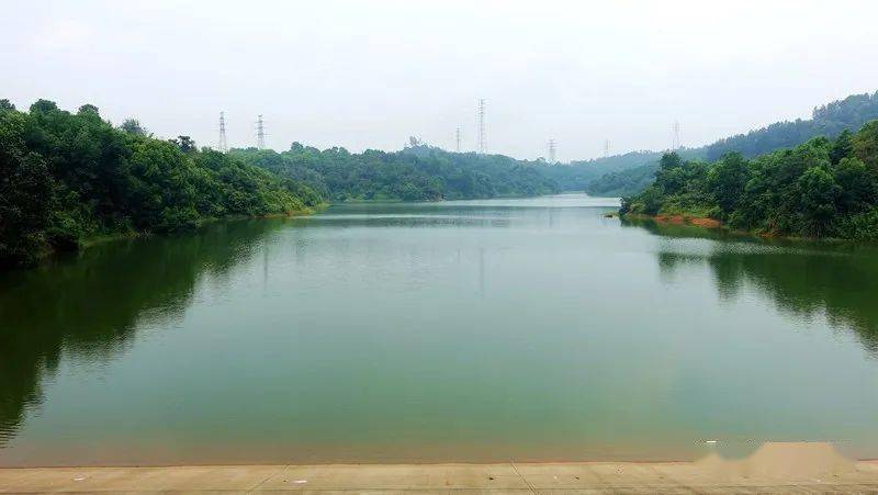 深圳立秋雨中大雁山鹅颈水库穿越本文内容空洞枯燥乏味千万别点进来