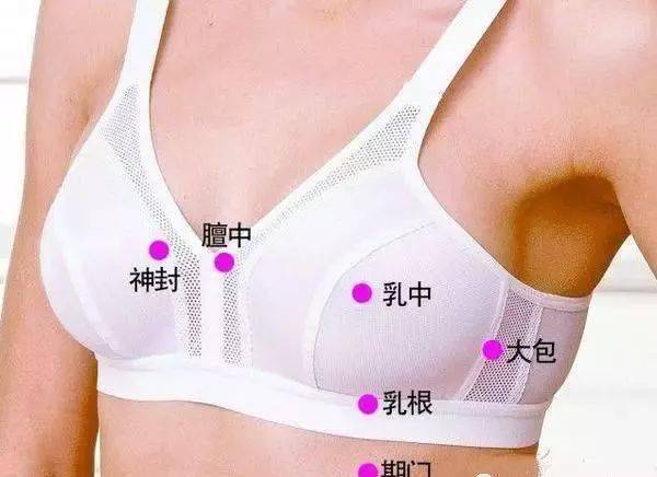 花什么实成语_成语花根什么心