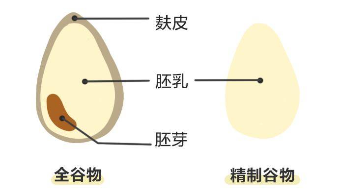 全麦|千人验证：想要中年不发福，多吃全谷物是关键