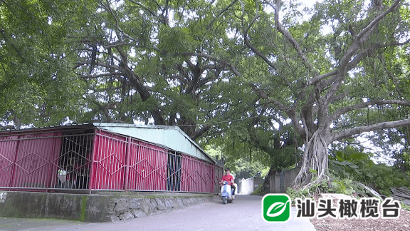 80多年前外砂这个小村就自建了一座中山公园