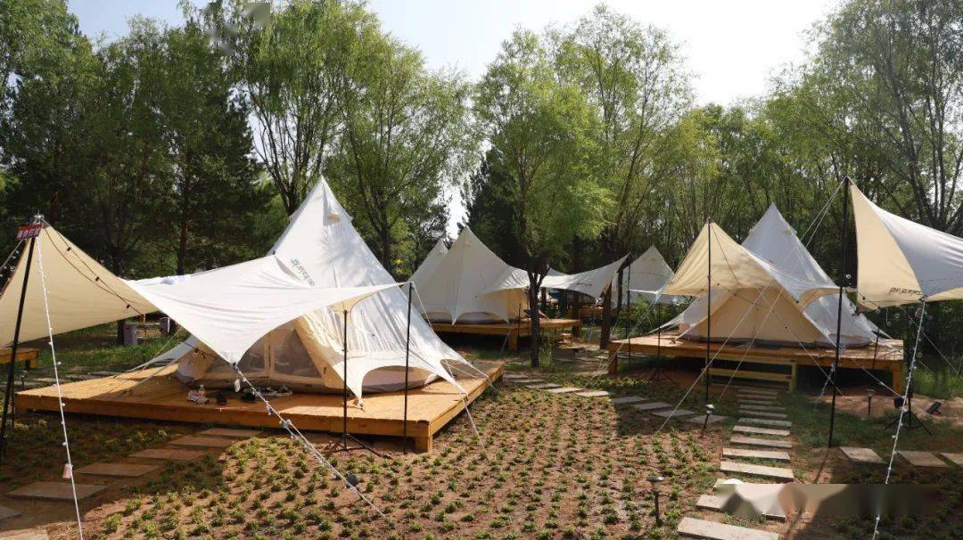 到康巴什城市中心露营去!_帐篷