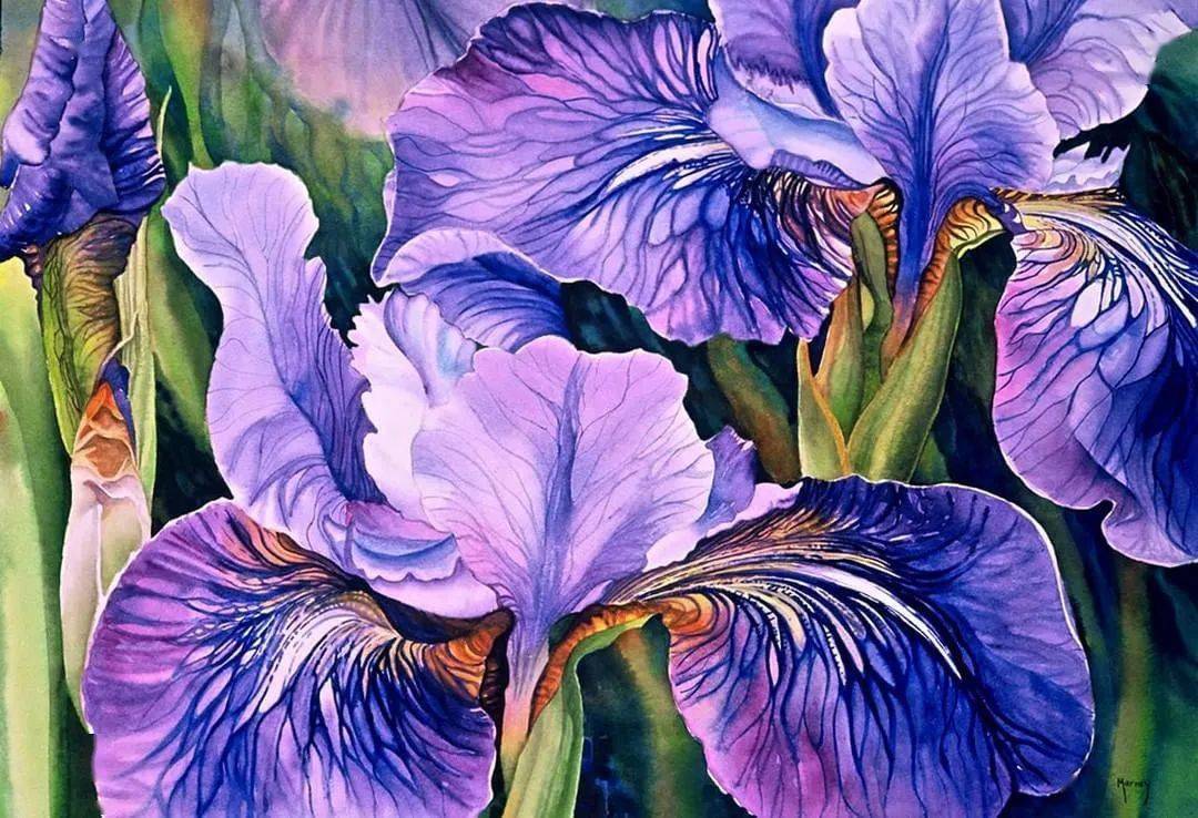 她55岁才开始画水彩从无名小卒到水彩大师作品美翻无数网友