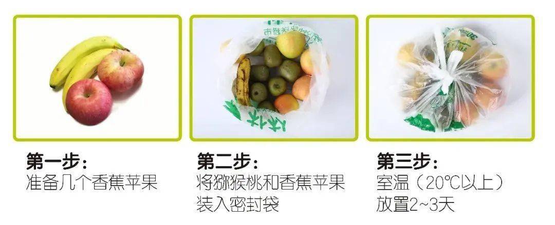 购买须知: 猕猴桃属后熟水果,收到需要放置成熟或催化成熟方可食用.