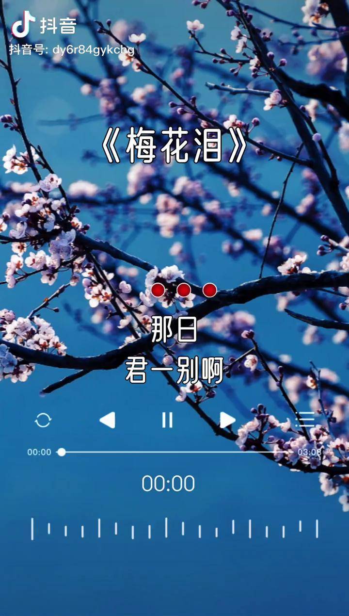 郭津彤的这首梅花泪声声入心字字含情韵味十足好歌分享