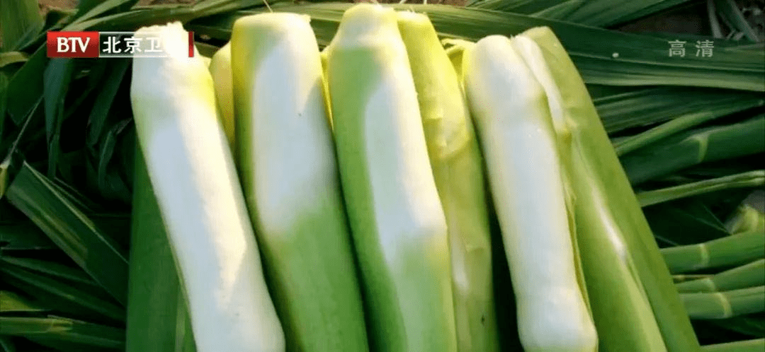 莲藕|“水中珍宝”这样吃，媲美人参！控血脂、健脾胃、祛湿气……错过太可惜！