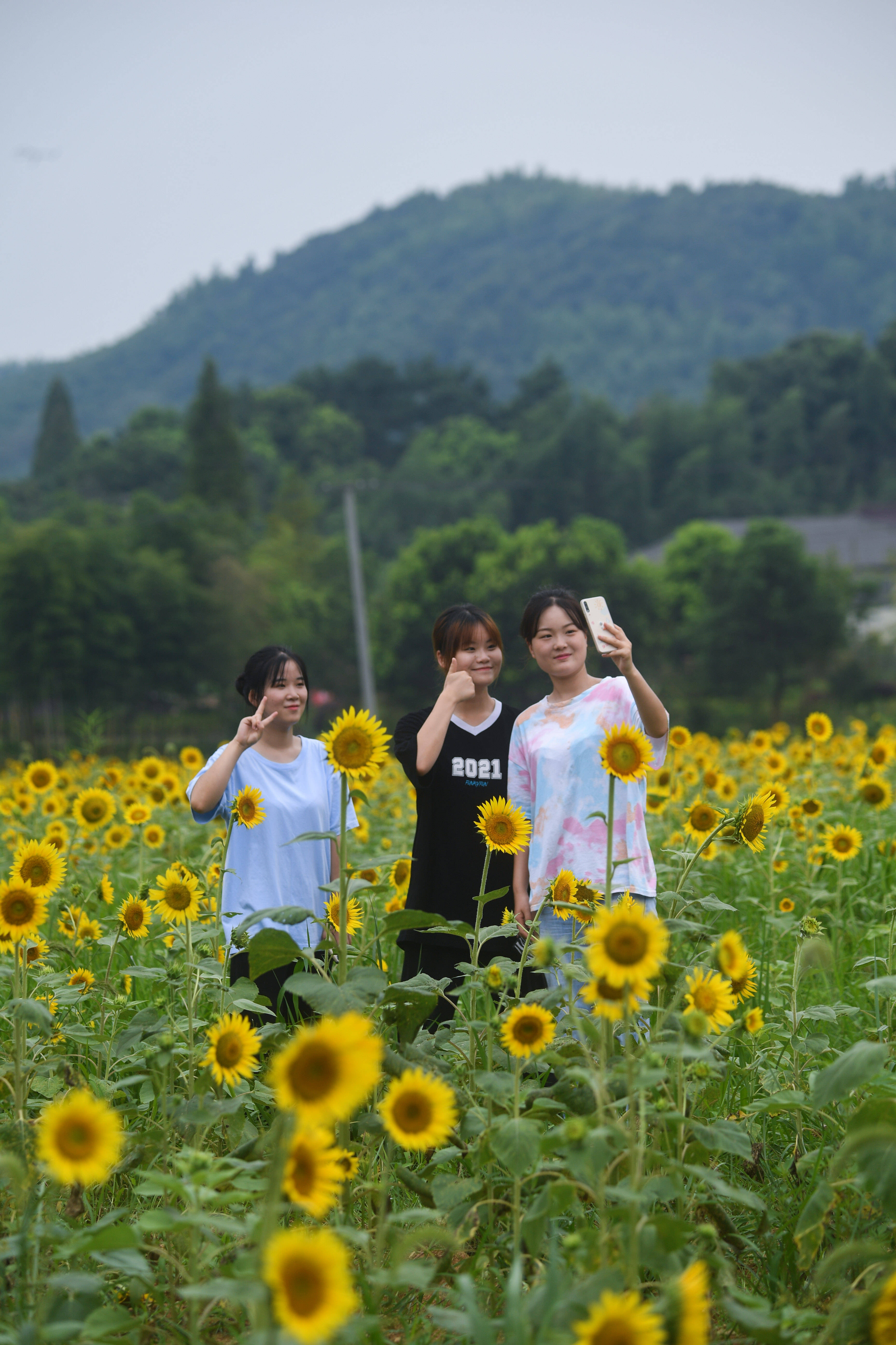 8月10日,幾名遊客在南山村特色度假小鎮的向日葵花田裡自拍留影.