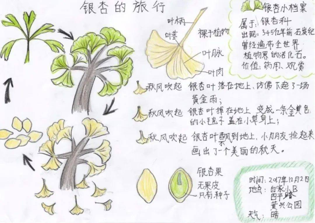 图片来自网络(自然笔记)2.