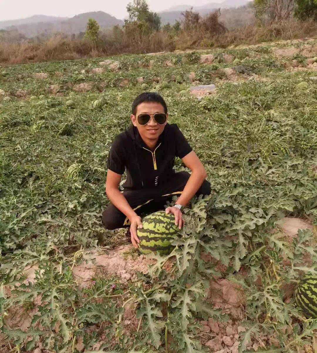 彭世春在老挝当地农民的瓜田里彭世春清晰的记着,2019年过完春节后,正月