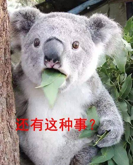 陈医生|福州张先生长期胃反酸，竟还引发癌症…