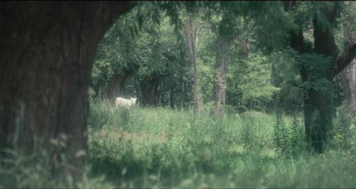 因为|从北电保安到最佳导演：用影像爱土地上受苦难的人