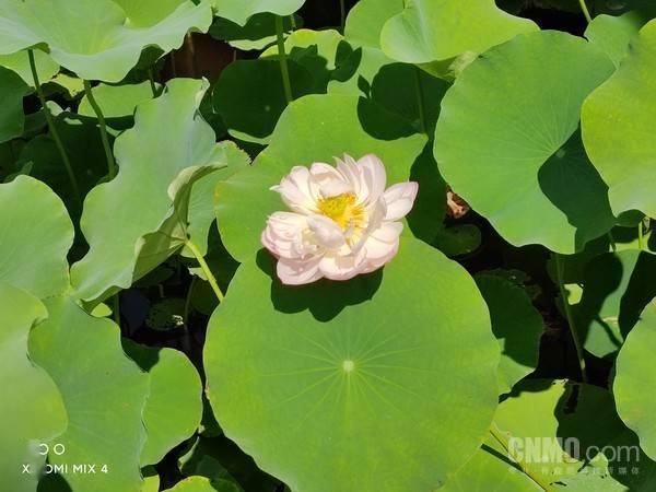 屏幕|小米MIX 4评测：把未来 “藏”起来