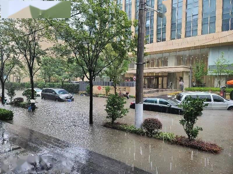 上海暴雨道路能划船陆家嘴3小时下了常年近半个月的雨