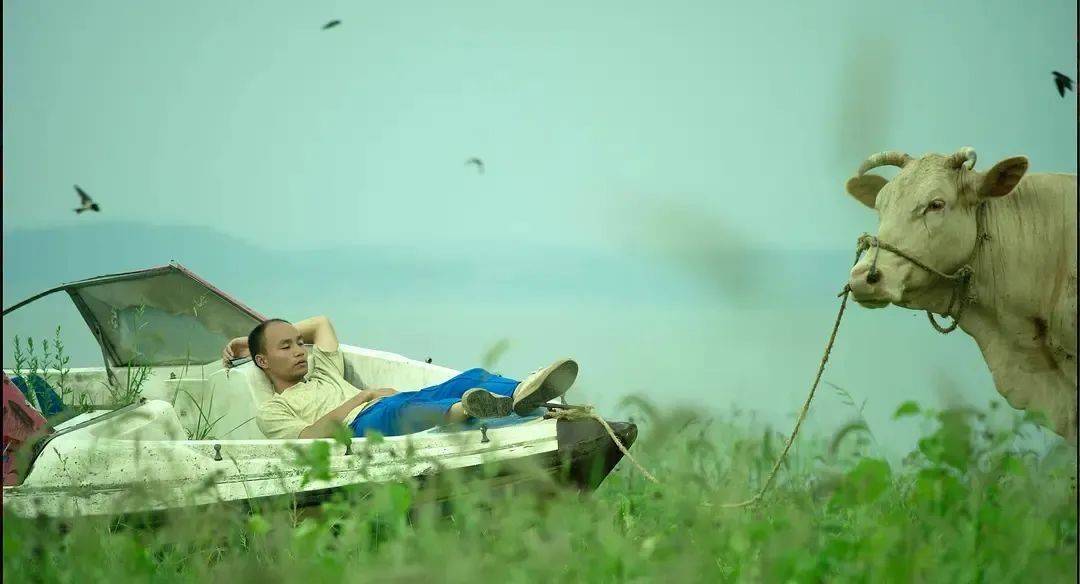 因为|从北电保安到最佳导演：用影像爱土地上受苦难的人