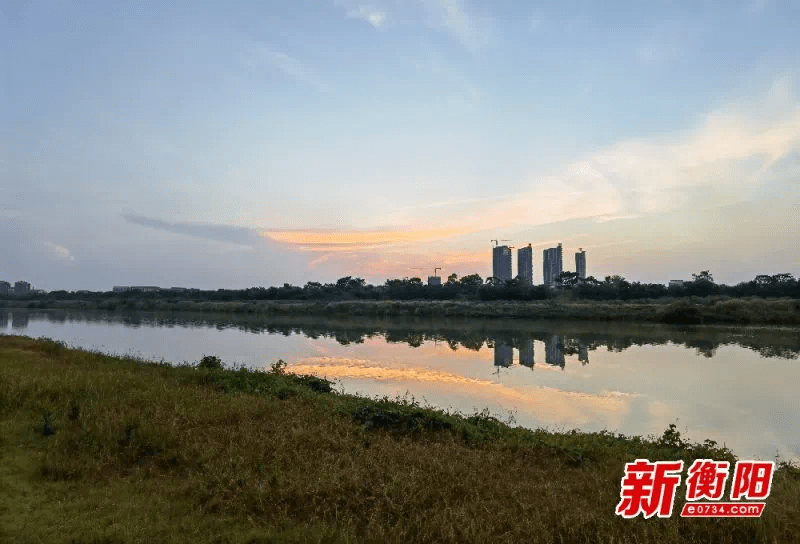 全面禁止!衡阳市将对此开展专项整治!