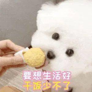 活动|超好吃的零食安利！回购1000次都不够！