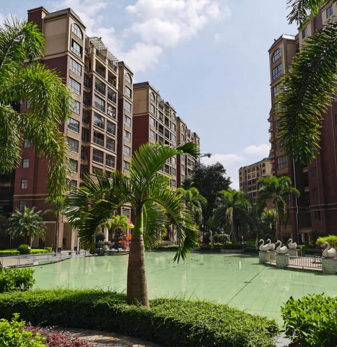 桂平又添大项目!用地约20亩!总投资1亿!位置就在