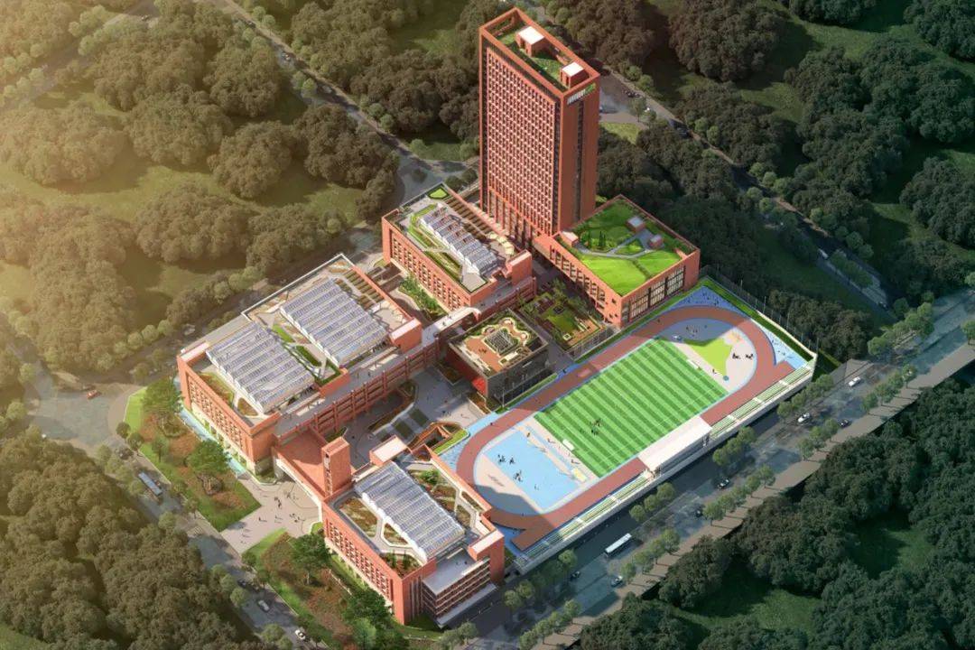 理念|走！带你去看看坪山这14所新校园！