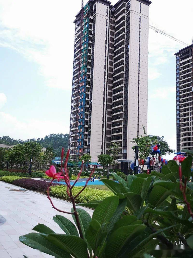 七夕到锦峰湖景看样板房,顺便帮她买一套!_阳江市