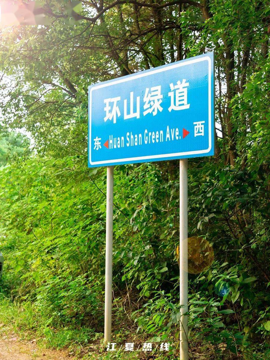 江夏的每个角落,都期待着重逢