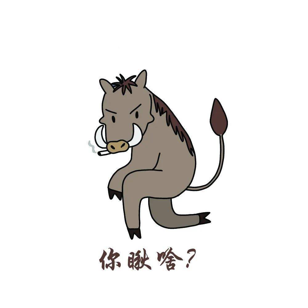 这么酷的非洲你确定不要