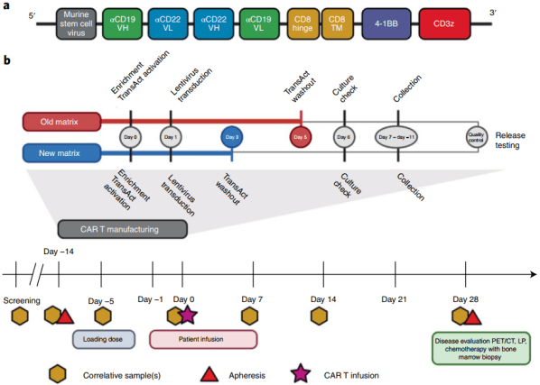 cd19-cd22 双靶点 car-t 细胞疗法 i 期临床试验结果重磅发布!