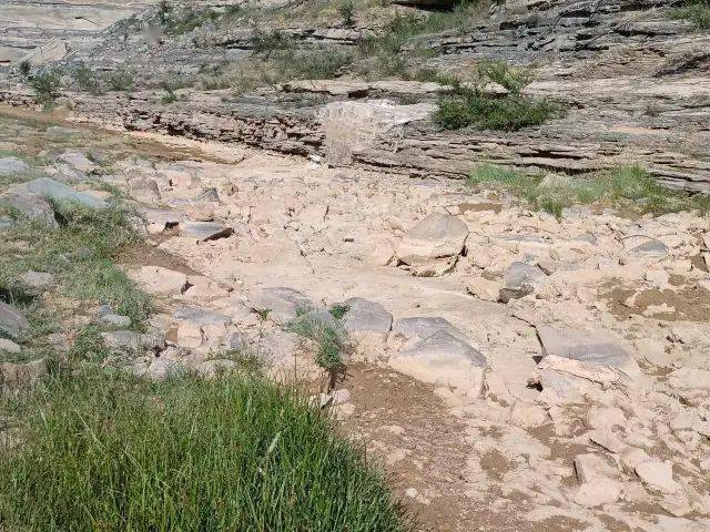 榆林旱情严重引央视关注河流断流庄稼绝收还有