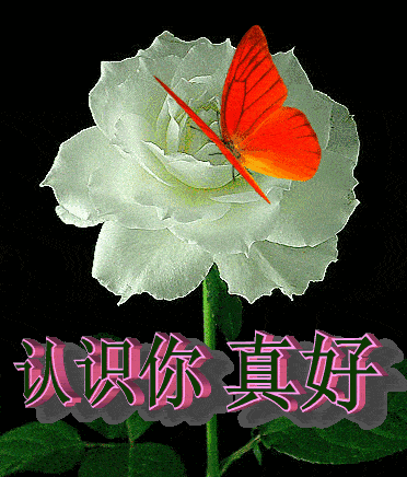 94967660e2a343c998fa59dad14eb203.gif