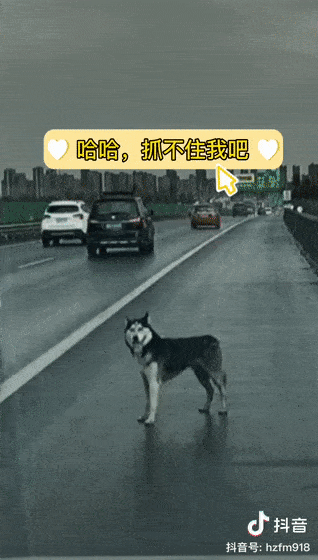 b801f270fdc848e08e049409a7e4e6fc.gif