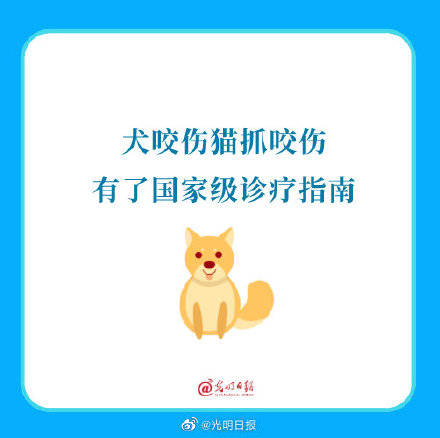 诊断|犬咬伤猫抓咬伤有了国家级诊疗指南