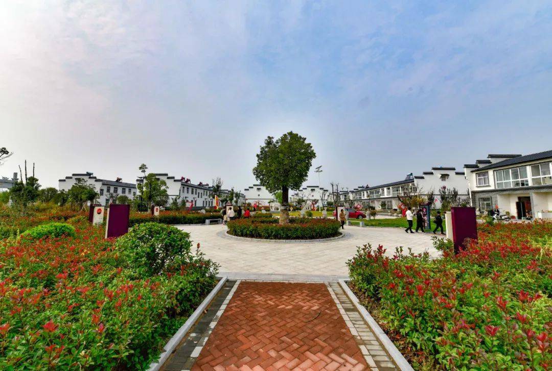 十四个热词解读县十四次党代会报告(十四)_睢宁