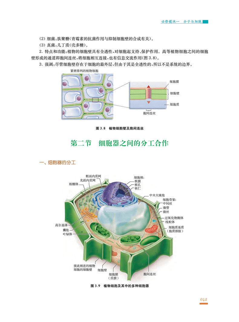 446c6ea2e3d24e8fa41460be647a4677.png