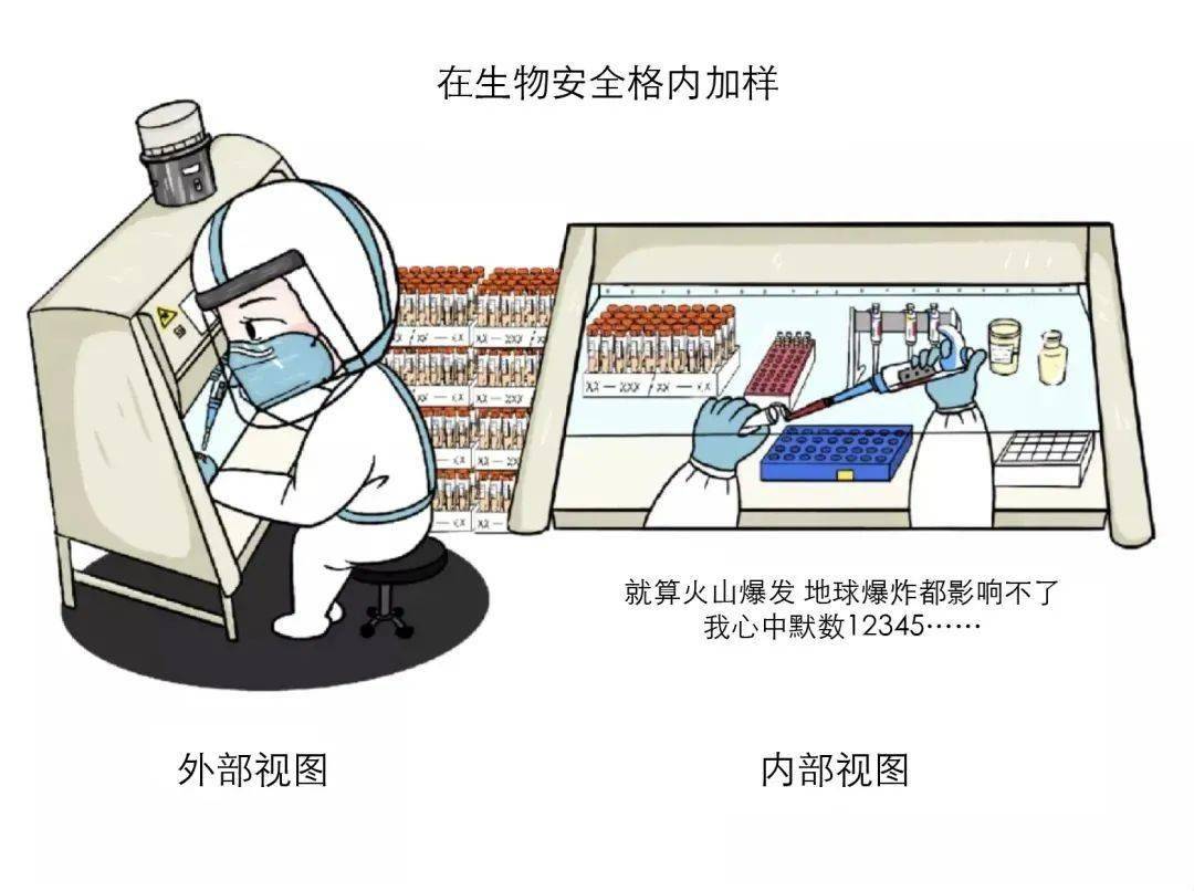 进行|【防疫知识】别再催核酸报告了，看完这篇文章就明白了！