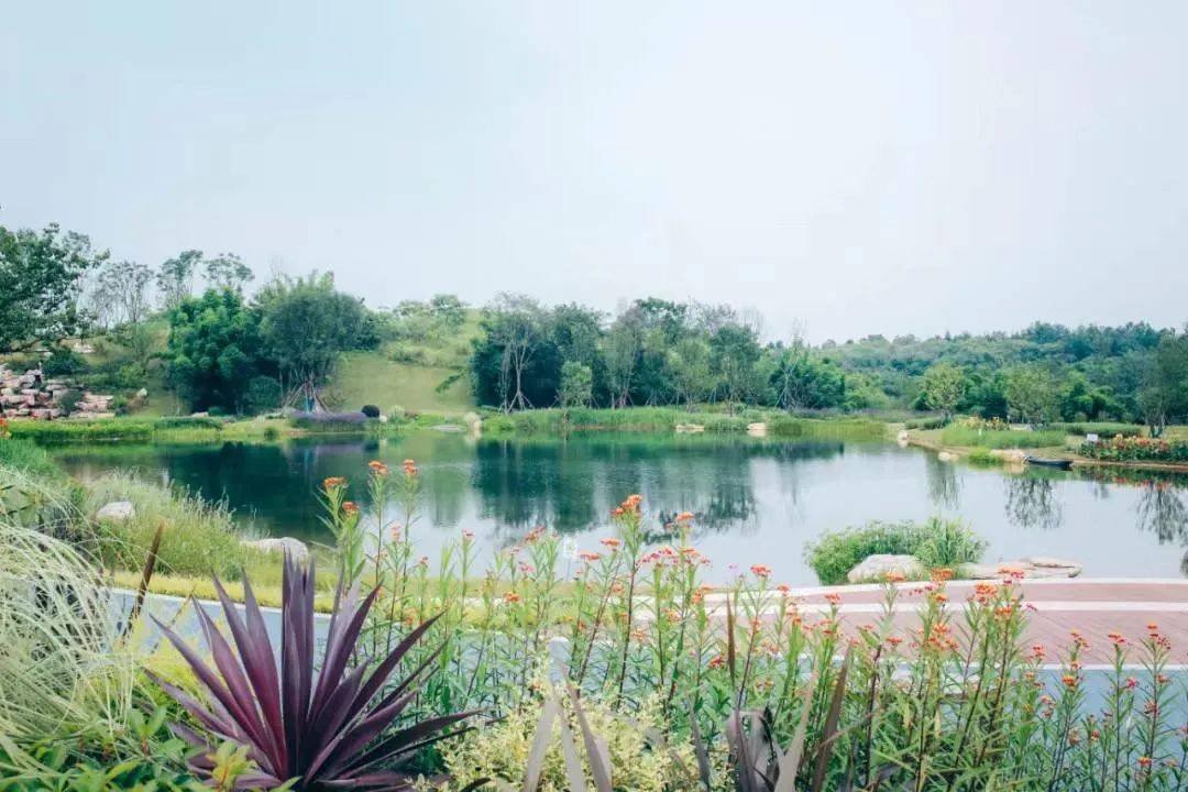 成都未來科技城郊野公園試運營開園迎客