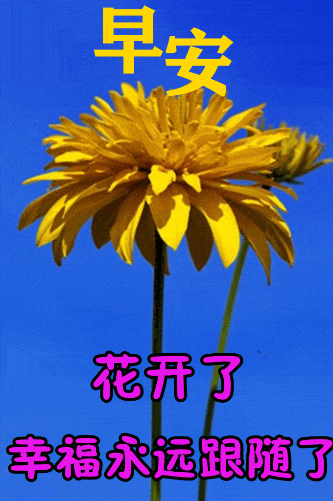 不管昨天,今天,明天能豁然开朗就是美好的一天,不管亲情,友情,爱情,能