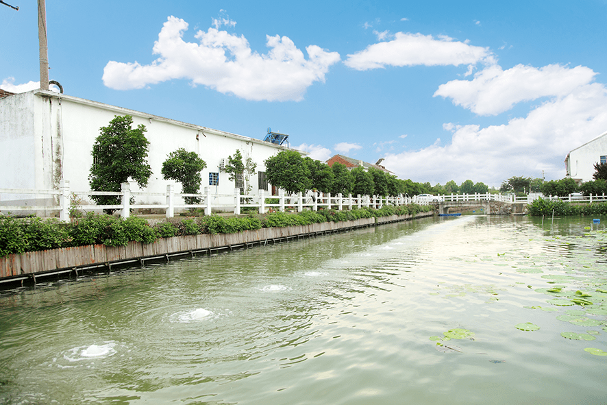 前洲 来自搜狐网